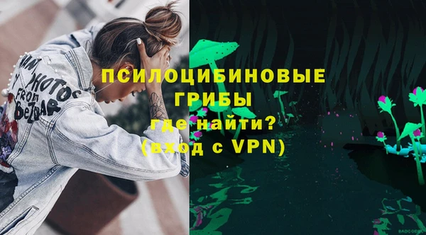 стафф Вяземский