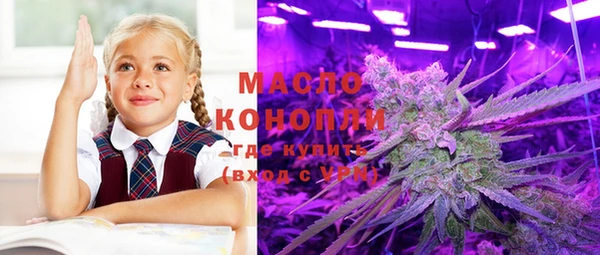 стафф Вяземский