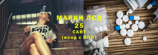 стафф Вяземский