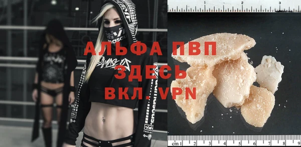 стафф Вяземский